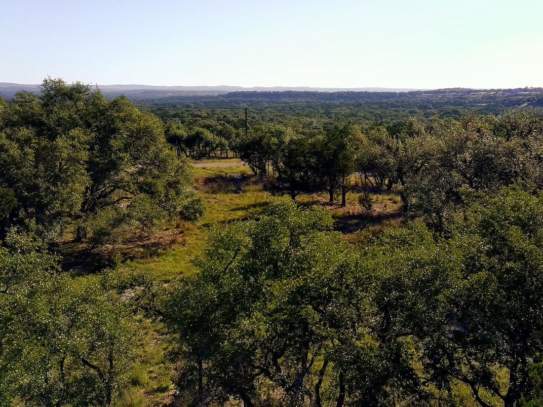 Aerial view of oak cover opening onto a glade with hills beyond