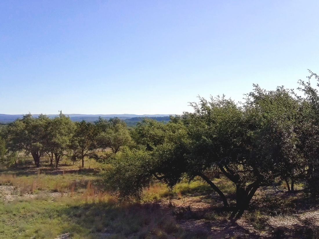 Eye-level view across the oaks to distant Hill Country ridges