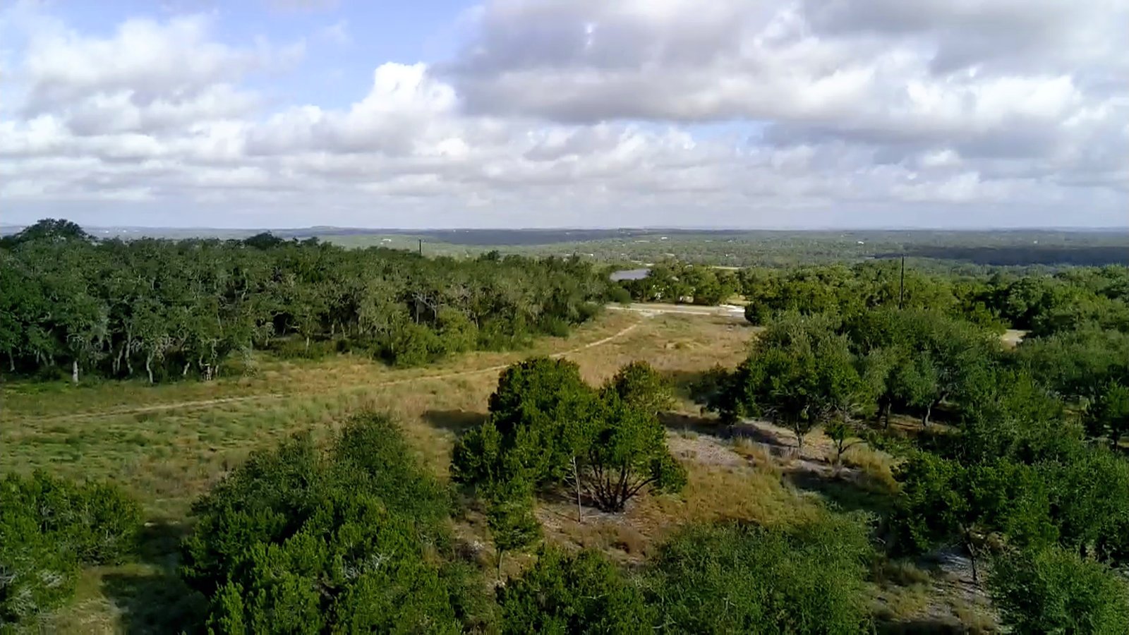 Elevated view over the oak canopy with the two-track trail below